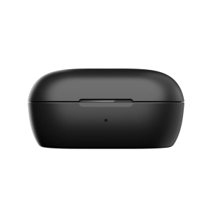 Bose QuietComfort Earbuds Charging Case
